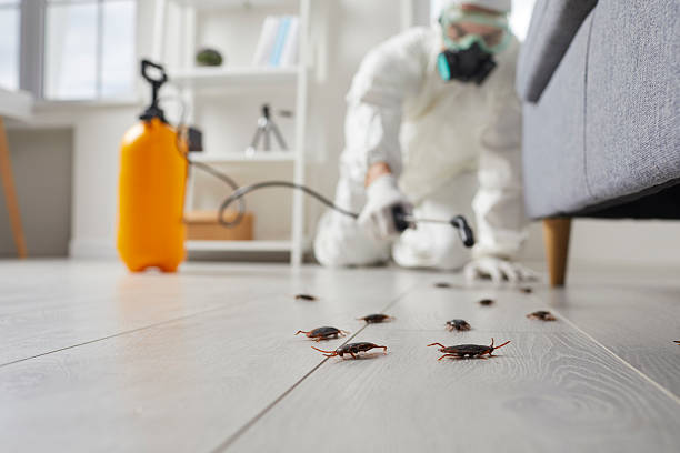 Commercial Kitchen Cockroach Control in Grottoes